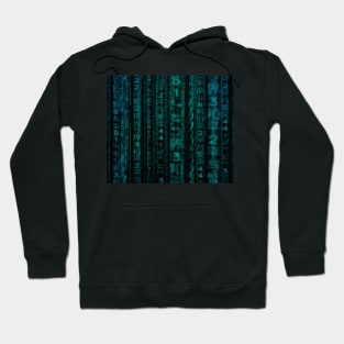 Matrix Hoodie